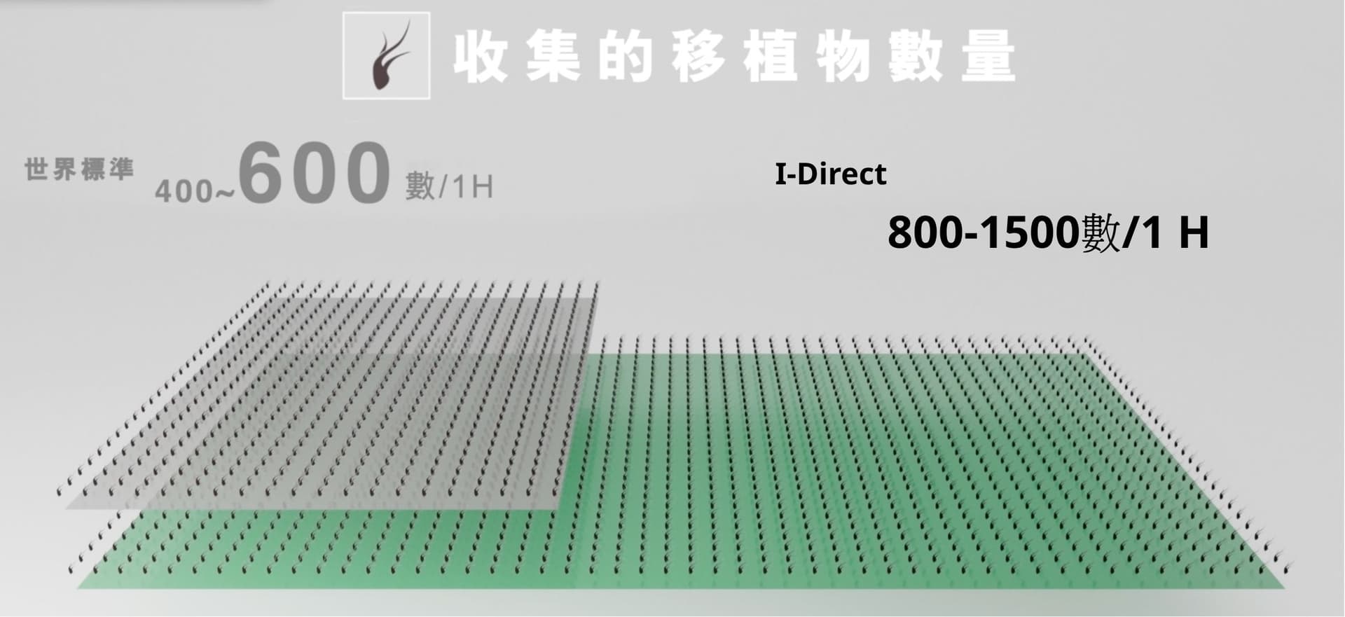 收集的移植物數量比較 — 世界標準 400-600 vs i-Direct 800-1500 數/1H